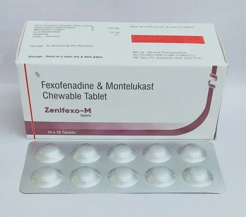 Zenifexo-M.webp